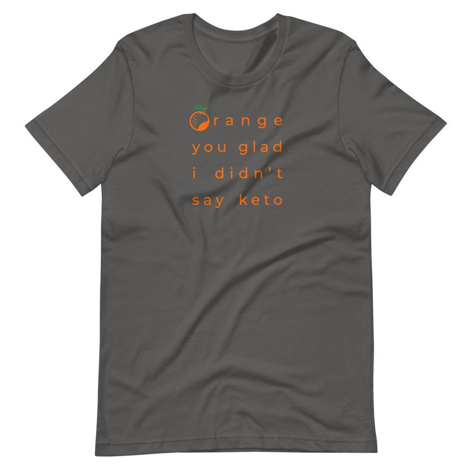 ...I Didn't Say Keto Colorways | Unisex Cotton Crew | Shades of Gray | Dietitian T Shirt | neRD Clothing Company | Asphalt
